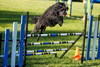 Click to enlarge Highslide JS