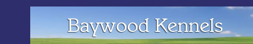 Baywood Kennels