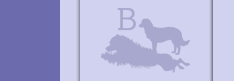 Baywood Logo