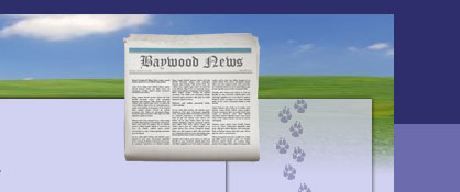 Baywood Newspaper